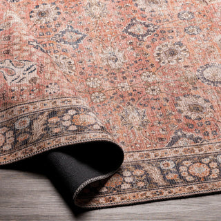 Colin CLN-2301 2'7"x10' Machine Washable Rug