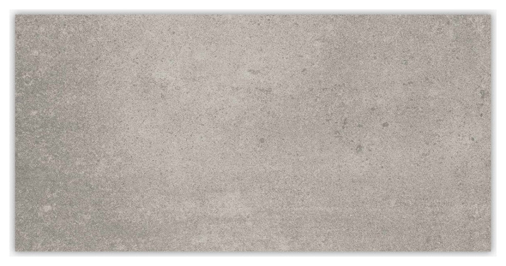 Ark Silver Matte 24x48 Porcelain Tile