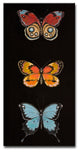 Canvas Art ''Butterfly Trio II'' by Hope Hansen, 24"x12"