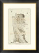 "San Francisco Peninsula, 1869"  by United States Coast Survey, 24x32"