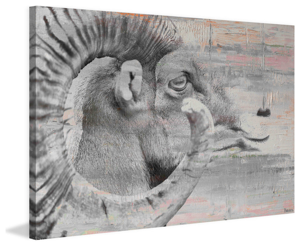 "Eye of Ram" Painting Print on Wrapped Canvas, 45"x30"