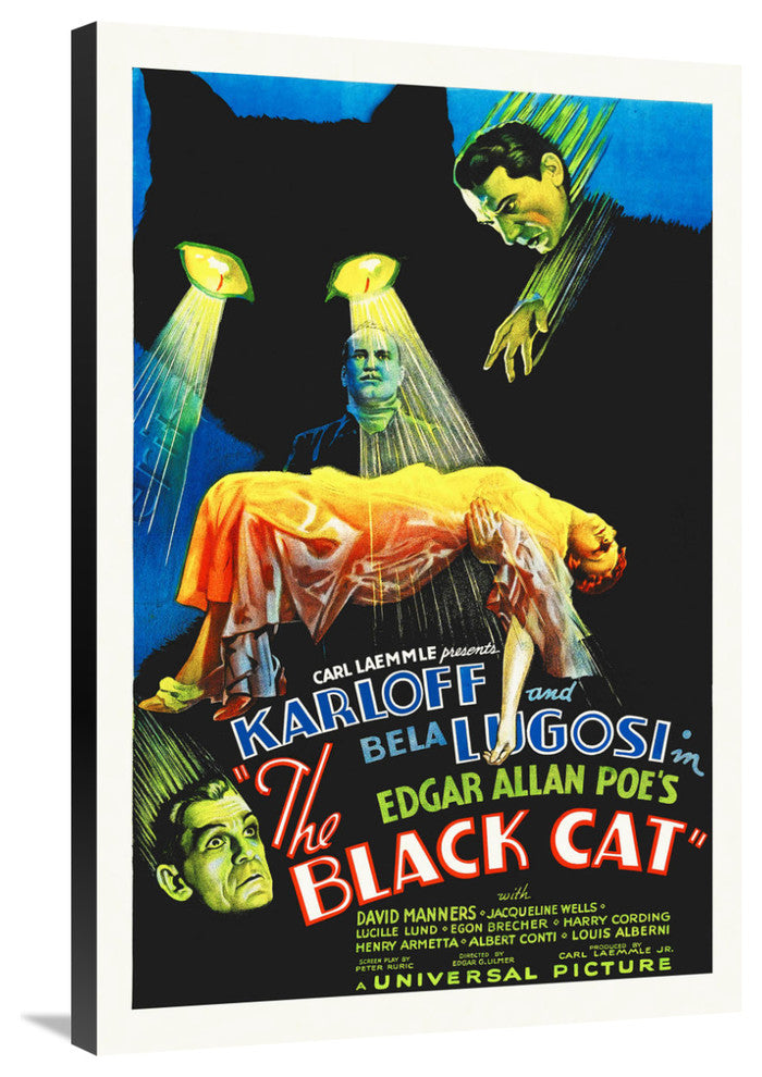 "The Black Cat" Stretched Canvas Giclee by Hollywood Photo Archive, 24x36"