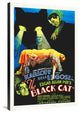 "The Black Cat" Stretched Canvas Giclee by Hollywood Photo Archive, 24x36"