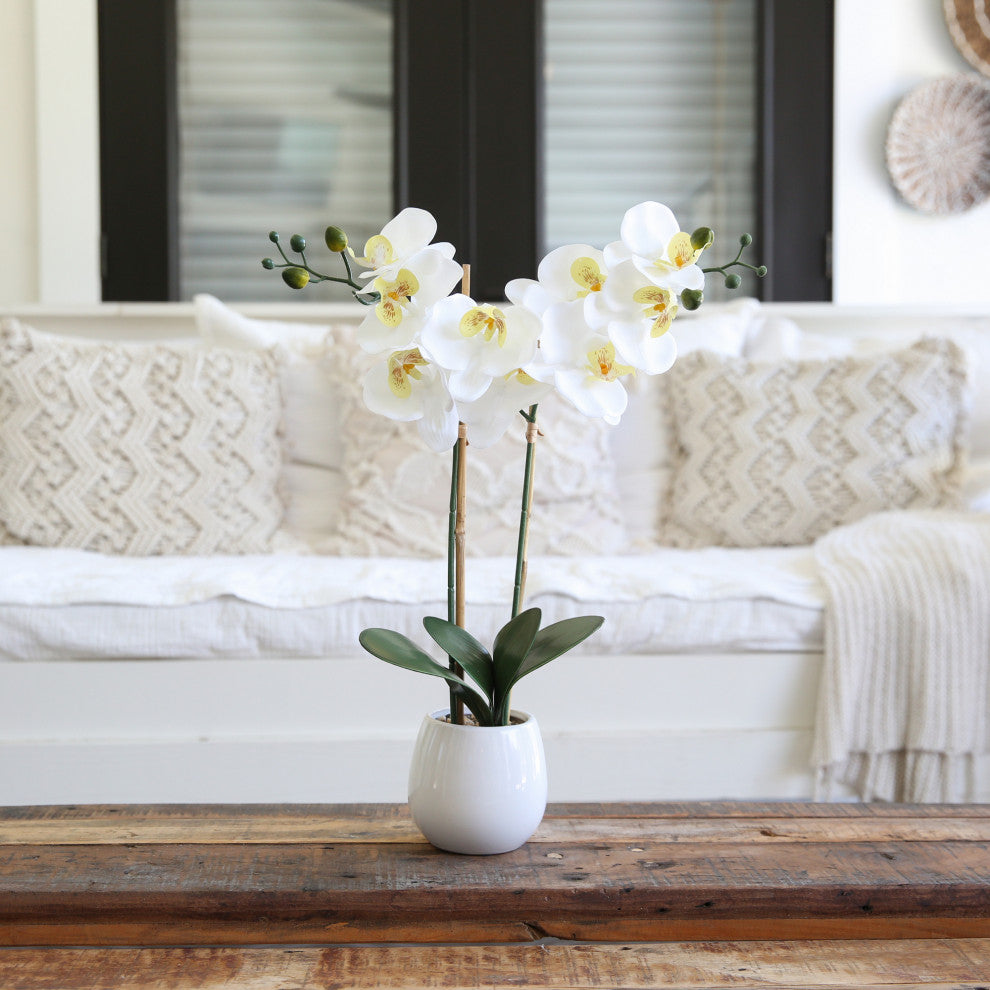 26in. Artificial Double Orchid Phalaenopsis with Decorative Vase (Real Touch)