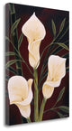 "Botanical Elegance II" By Yvette St. Amant, Giclee Print on Gallery Wrap Canvas