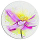 Beautiful Purple Flower With Yellow, Flowers Disc Metal Wall Art, 36"