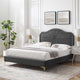 Platform Bed Frame, Twin Size, Velvet, Dark Grey Gray, Modern Contemporary