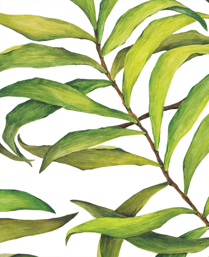 Tropical Leaves Peel and Stick Vinyl Wallpaper, 24"w X 60"h
