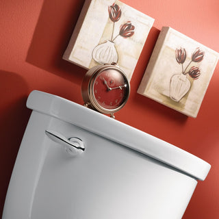 Moen Eva Chrome Tank Lever YB2801CH