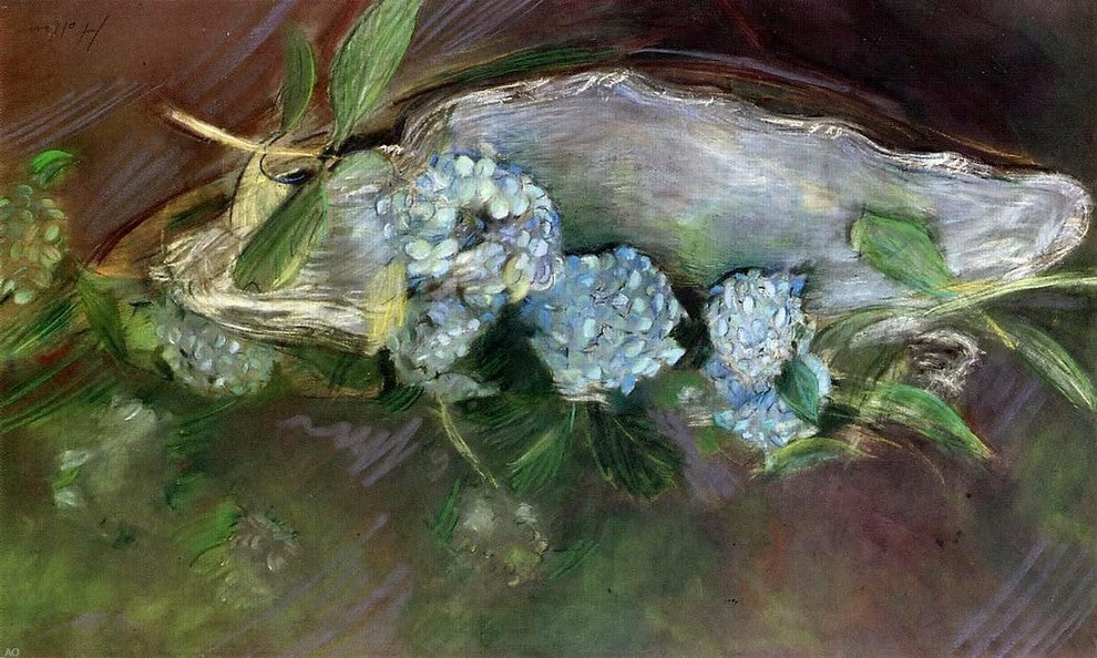 Paul Cesar Helleu Hydrangeas, Gallery Wrapped Canvas Print, 18"x27"