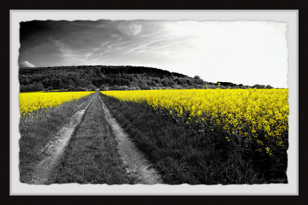 "Wild Yellow Fields" Framed Painting Print, 36x24