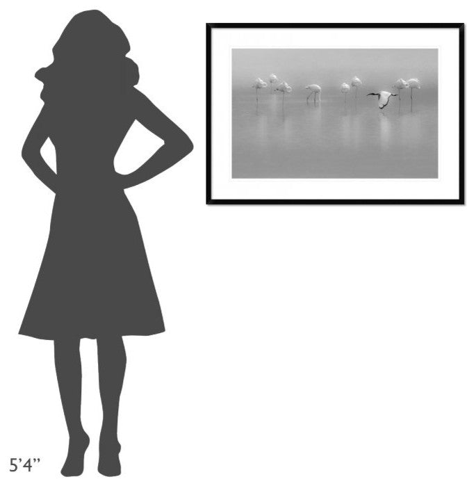 "Shades Of Gray" Framed Digital Print by Massimo Mei, 38"x26"