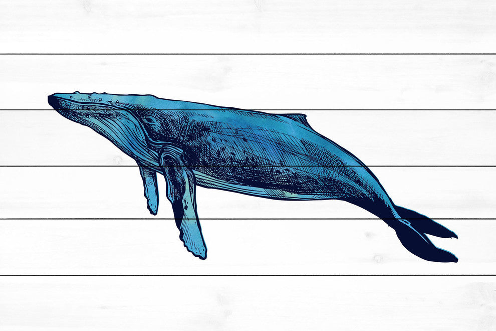 "Whale Humpback" Painting Print on White Wood