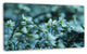 Small White Flowers on Blue Background, Floral Canvas Art Print, 32"x16"