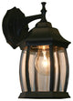 Waterdown 1 Light Outdoor Wall Light in Black with Clear Beveled Glass