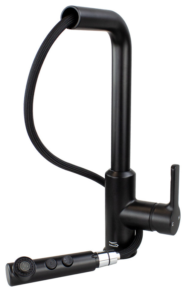 Transolid Sloane Pull-Down Kitchen Faucet, Matte Black