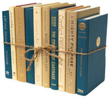 Decorative Books - Sand Dune Book Bundle - 1 foot of Blue and Tan Books