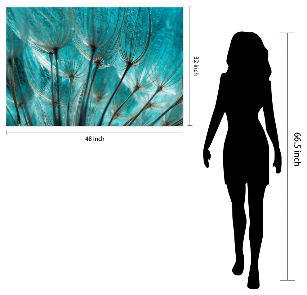 "Dandelion" Flower Wall Art Printed on Unframed Free Floating Tempered Glass