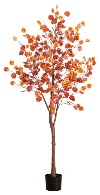 Full tree on a white background, front-facing and fully visible.