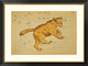 "Ursa Major, 1825" Framed Digital Print by Jehoshaphat Aspin, 40x30"