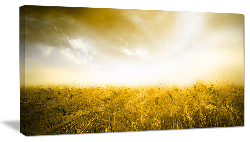 Yellow Meadow under Bright Sun, Large landscape Canvas Art Print, 60"x28"
