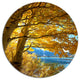 Bright Yellow Autumn Tree, Landscape Round Wall Art, 11"