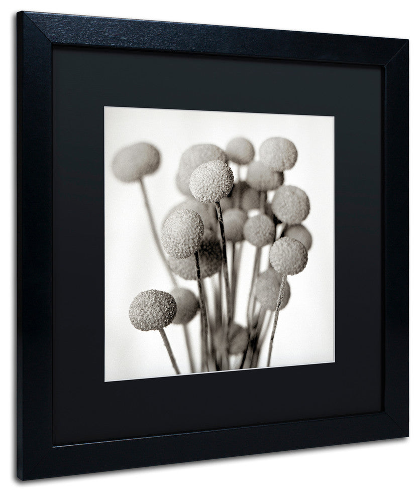 Alan Blaustein ''Florison 33'' Art, Black Frame, Black Mat, 16x16