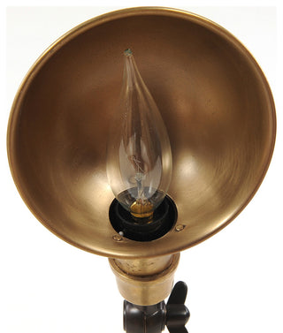 Lamp Brass Finish