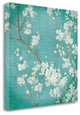 "White Cherry Blossoms II" By Danhui Nai, Giclee Print on Gallery Wrap Canvas