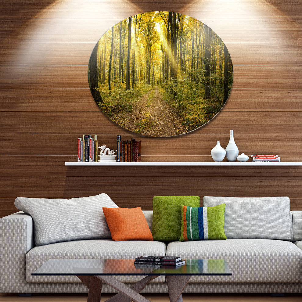 Sunset In Green Autumn Forest, Modern Forest Disc Metal Artwork, 36"