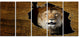 Tanzania Wildlife Map Design, Abstract Canvas Artwork, 60"x28", 5 Panels