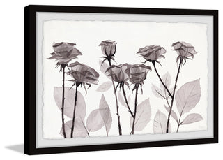 "Delicate Petals" Framed Painting Print
