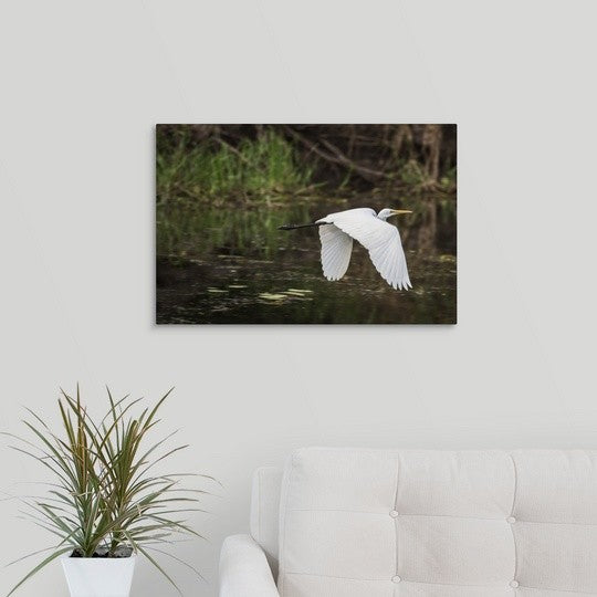 "Great White Egret" Wrapped Canvas Art Print, 24"x16"x1.5"