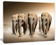 Walking Herd of Elephants, Animal Canvas Wall Art, 20"x12"