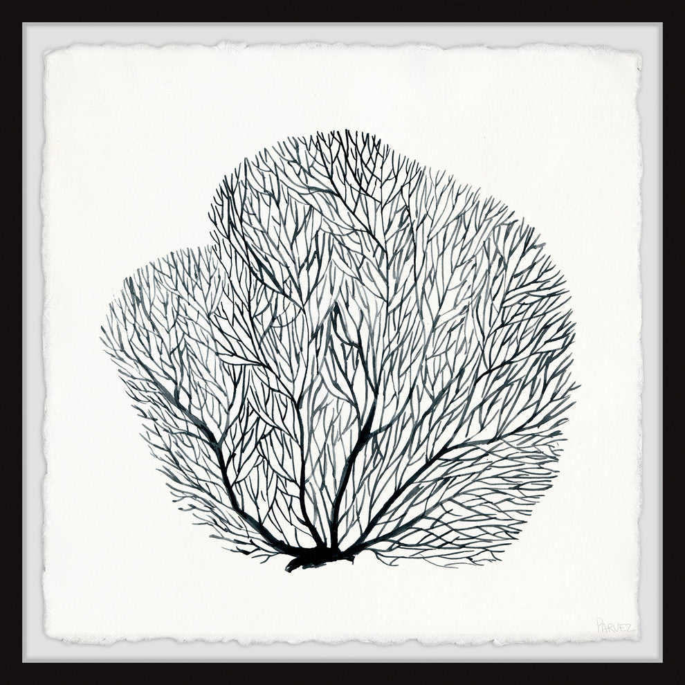 "Sea Fern" Framed Painting Print, 24"x24"