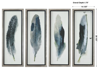 Uttermost Feathered Beauty Prints, S/4