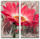 Painted Petals XLIII Canvas Art, 2-Piece Set, 24"x12"