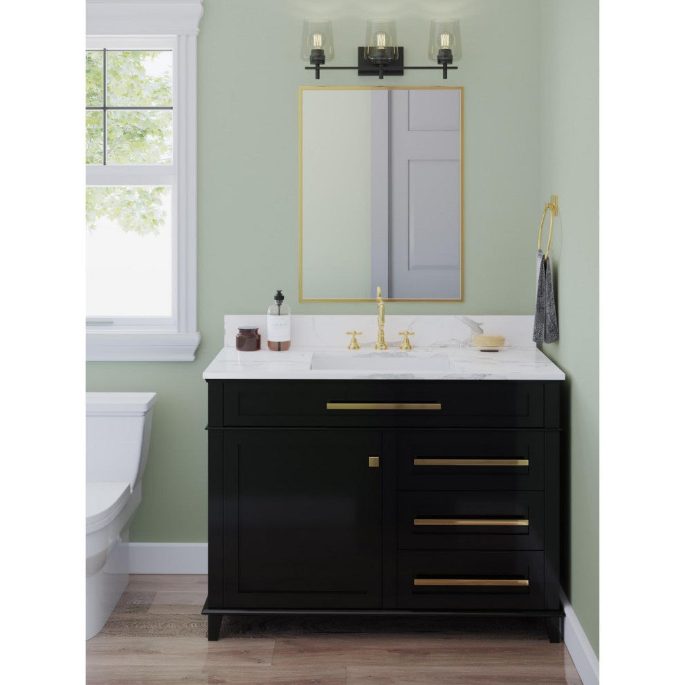 3-Light Clear Glass New Traditional Bath Vanity Light, Matte Black