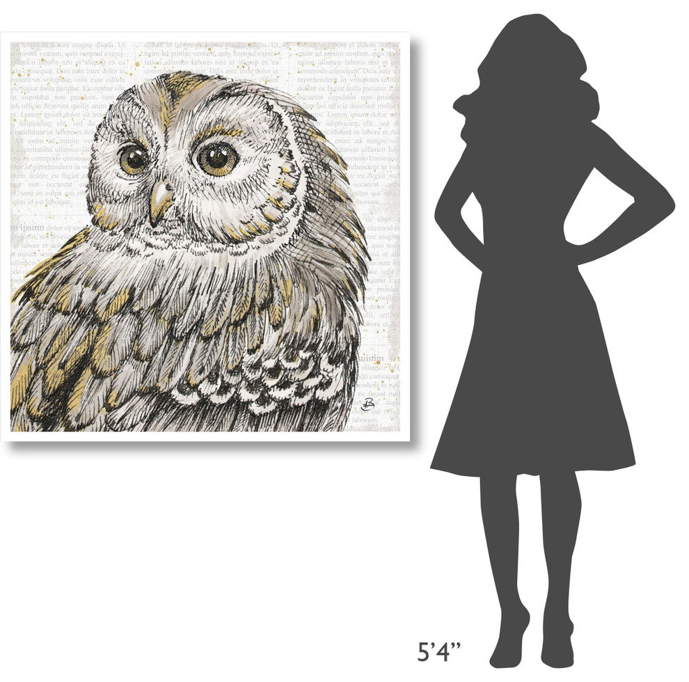 "Beautiful Owls I" Digital Paper Print by Daphne Brissonnet, 42"x42"