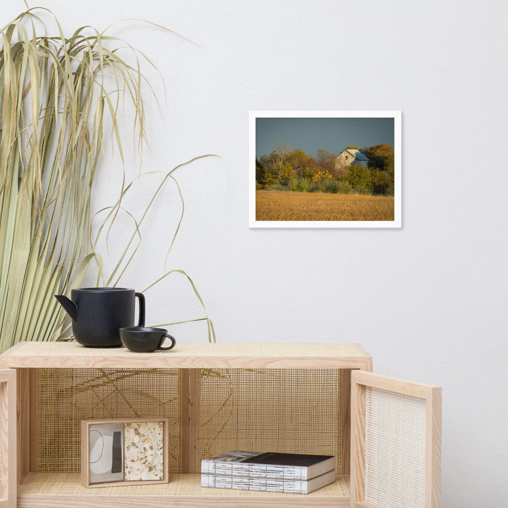 Abandoned Barn In The Trees Framed Photo Paper Wall Art Prints, White, 12" X 16"