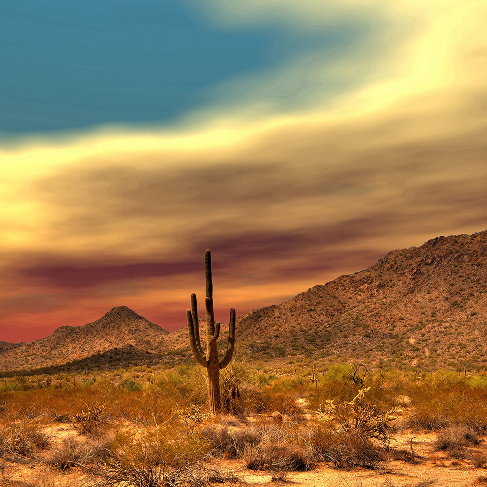 "Lone Cactus" Painting Print on Canvas