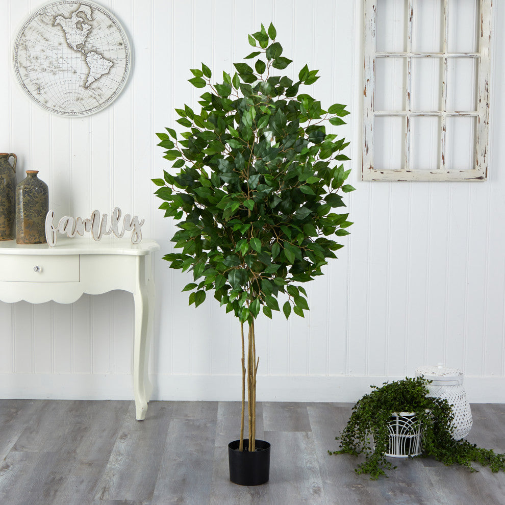 Real-room lifestyle setting with full plant visible