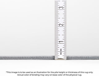 Dalyn Indoor/Outdoor Sedona SN4 Robins Egg Washable 10'x10' Round Rug