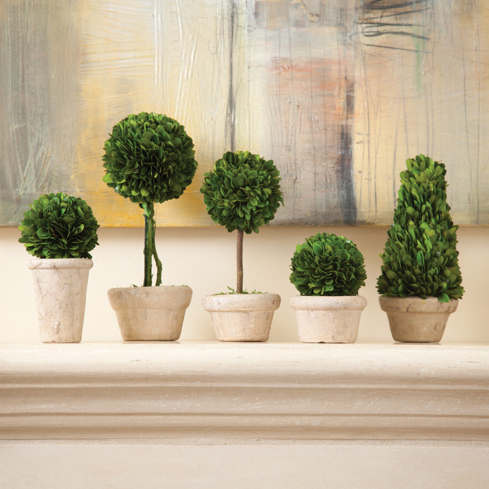 5-Piece Boxwood Topiaries Set With Pots