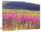 Purple Flowers in Mountain Pasture, Floral Canvas Art Print, 20"x12"