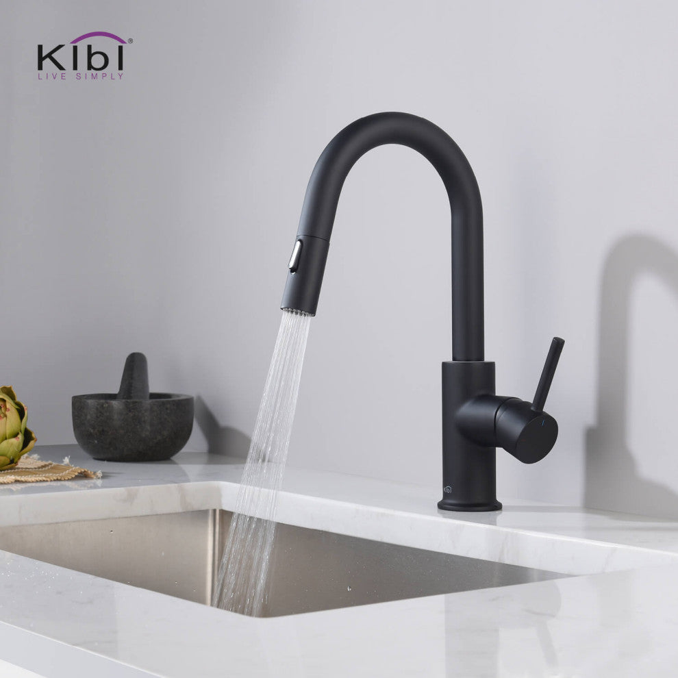 Luxe Single Handle Pull Down Kitchen & Bar Faucet, Matte Black