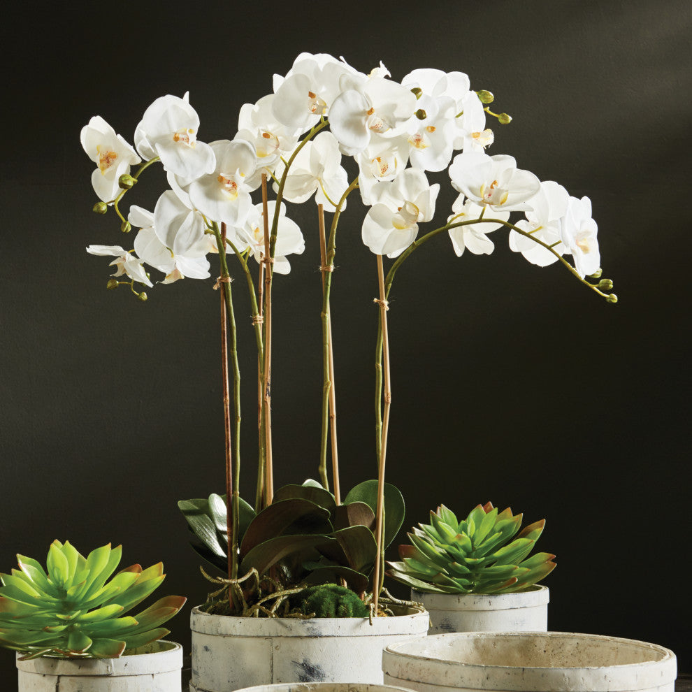 Orchid 25" Bowl Drop-In White