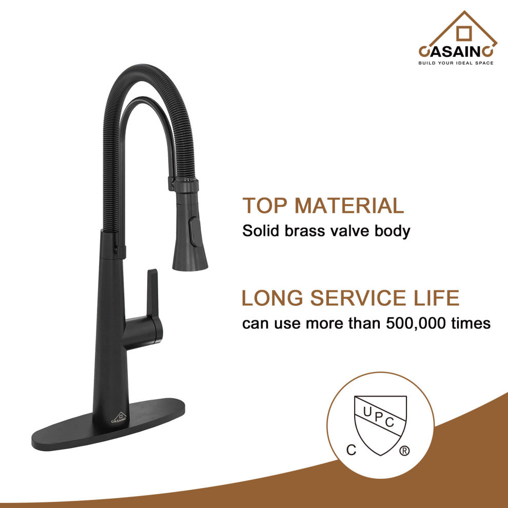 Kitchen Faucet Standard Single-Handle Spring Neck Dual-Function Spray Head, Matte Black