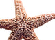 "Basket Stars" Metal, 32"x44"