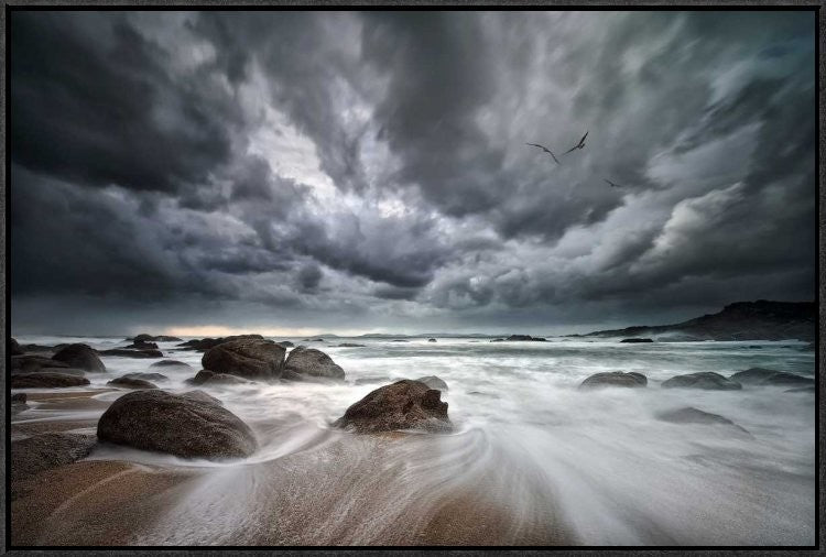 "Flight Over Troubled Waters"  by Santiago Pascual Buye, 31x21"